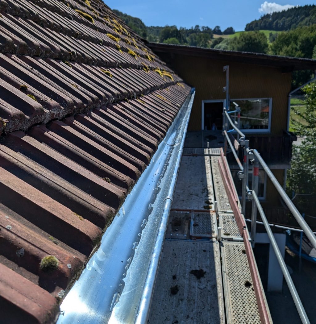 PXL_20240704_143800353