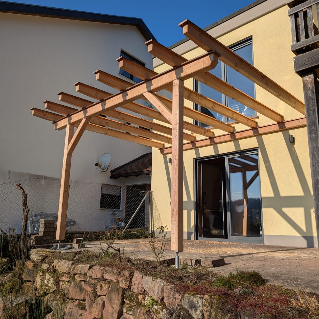 PXL_20250208_121339557